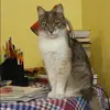 Отзыв от Лилия Воронцова